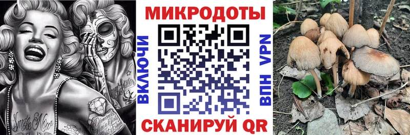 Галлюциногенные грибы Cubensis  продажа наркотиков  Нерехта 